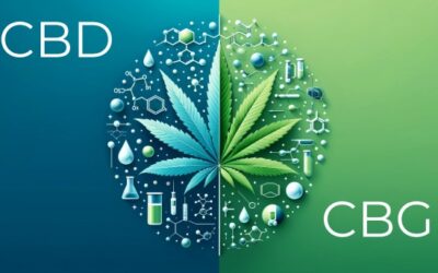 Objevte potenciál CBD a CBG při každodenní léčbě atopického ekzému, lupénky a jiných problémů s pokožkou